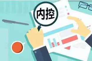 企業(yè)如何建立有效的內部控制制度 理論與實務指導